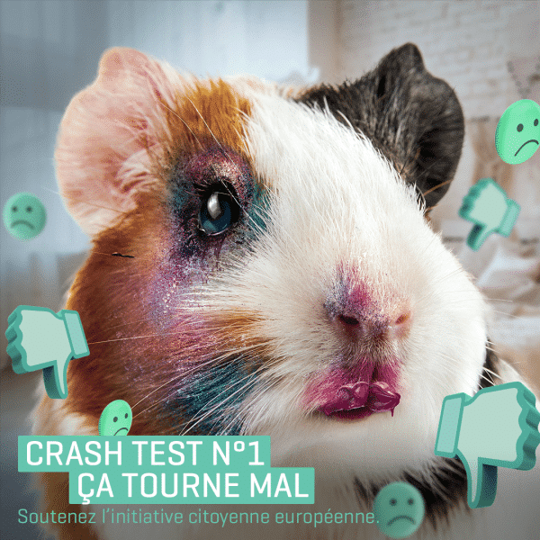 Cosmétiques encore testés sur les animaux ? Animal Testing