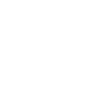directive directive icon